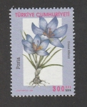 Stamps Turkey -  Crocus biflorus