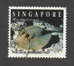 Stamps Singapore -  Raya con manchas azules