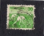 Stamps India -  