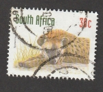 Stamps South Africa -  Hiena moteada