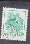 Stamps Poland -  FLORES-