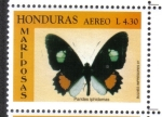 Stamps Honduras -  Iphidamas Cattleheart (Parides iphidamas)