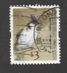 Sellos de Asia - Hong Kong -  Ave Pycnonotus jocusus