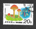 Sellos de Asia - Corea del norte -  2816 - Champiñones y Frutas Silvestres