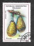 Sellos de Africa - Madagascar -  1069 - Aguacate