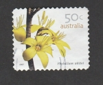 Stamps Australia -  Phebalium whitei