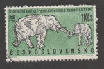 Sellos de Europa - Checoslovaquia -  Pareja de elefantes del zoo
