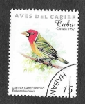 Sellos de America - Cuba -  3849 - Aves del Caribe
