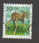 Stamps United States -  Cervatillo