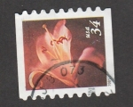 Stamps United States -  Lino naranja