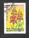 Stamps Asia - Uzbekistan -  41 - Flores