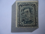 Stamps Belgium -  King Albert I - Ocupación  belga de Renama y Ruhr por Alemania, año 1919-1925 - Serie:Allemagne-Duit