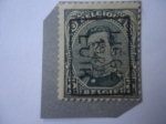 Sellos de Europa - Blgica -  King Albert I - Ocupación  belga de Renama y Ruhr por Alemania, año 1919-1925 - Serie:Allemagne-Duit