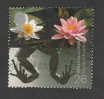 Stamps United Kingdom -  Vida en los estanques