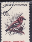 Stamps Romania -  AVE- LOXIA LEUCOPTERA