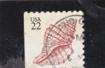Stamps United States -  caracola 