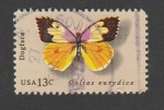 Sellos de America - Estados Unidos -  Mariposa Colias eutrydice