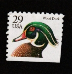 Stamps United States -  Pato del bosque