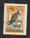 Stamps Hungary -  251 - Ave de presa