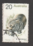 Sellos de Oceania - Australia -  Wombat, animal marsupial