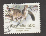 Sellos de Oceania - Australia -  Zarigüeñas