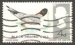 Stamps United Kingdom -  444 - Pájaro