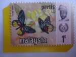 Stamps : Asia : Malaysia :  Malasia, Estados Federales- Malayan Jesebel (Delias ninus)-Mariposa- Serie:Perlis.
