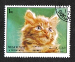 Stamps United Arab Emirates -  Gato (Felis silvestris catus), Sharjar