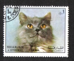 Stamps United Arab Emirates -  Gato (Felis silvestris catus), Sharjar
