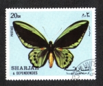 Stamps United Arab Emirates -  Mariposas, Ave de pájaro (Ornithoptera sp.)