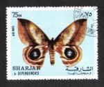 Sellos de Asia - Emiratos �rabes Unidos -  Mariposa