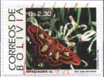 Stamps Bolivia -  Serie Mariposas