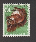 Stamps Switzerland -  Ardilla