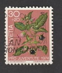 Stamps Switzerland -  Arándanos