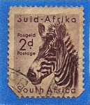 Stamps South Africa -  Cebra
