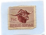 Stamps South Africa -  Animales