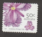 Stamps Australia -  Thysanotus spp