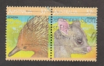 Sellos de Oceania - Australia -  Possum