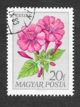 Sellos de Europa - Hungr�a -  1926 - Flores de Jardín