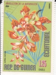 Stamps Equatorial Guinea -  FLORES- PROTECCIÓN DE LA NATURALEZA