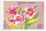 Stamps : Africa : Equatorial_Guinea :  FLORES- PROTECCIÓN DE LA NATURALEZA
