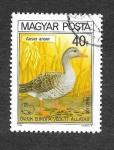 Stamps Hungary -  2659 - Año Europeo de la Protección de la Naturaleza