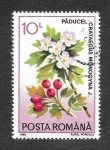Sellos de Europa - Rumania -  3804 - Plantas Medicinales