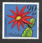Stamps Poland -  2493 - Plantas con Flores