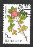 Stamps Russia -  5381 - Plantas Medicinales