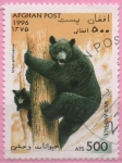 Stamps Afghanistan -  Oso americano