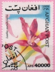 Stamps Afghanistan -  Laelia autumnlis