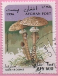 Stamps : Asia : Afghanistan :  Macrolepiota procera