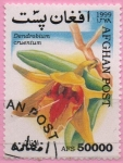 Stamps Afghanistan -  Dendrobium cruentum