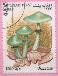 Stamps : Asia : Afghanistan :  Stroharia aeruginosa